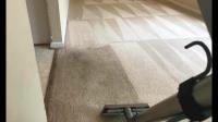 Steam Authority Carpet Cleaning & Restoration image 6